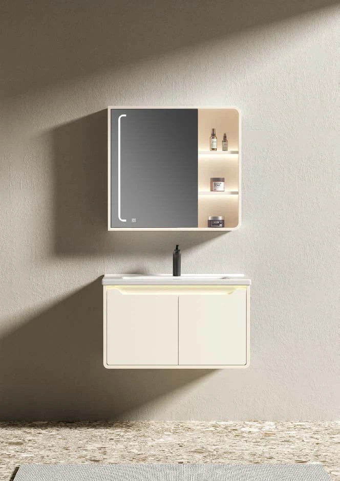 Bathroom Mirror With Storage Cabinet